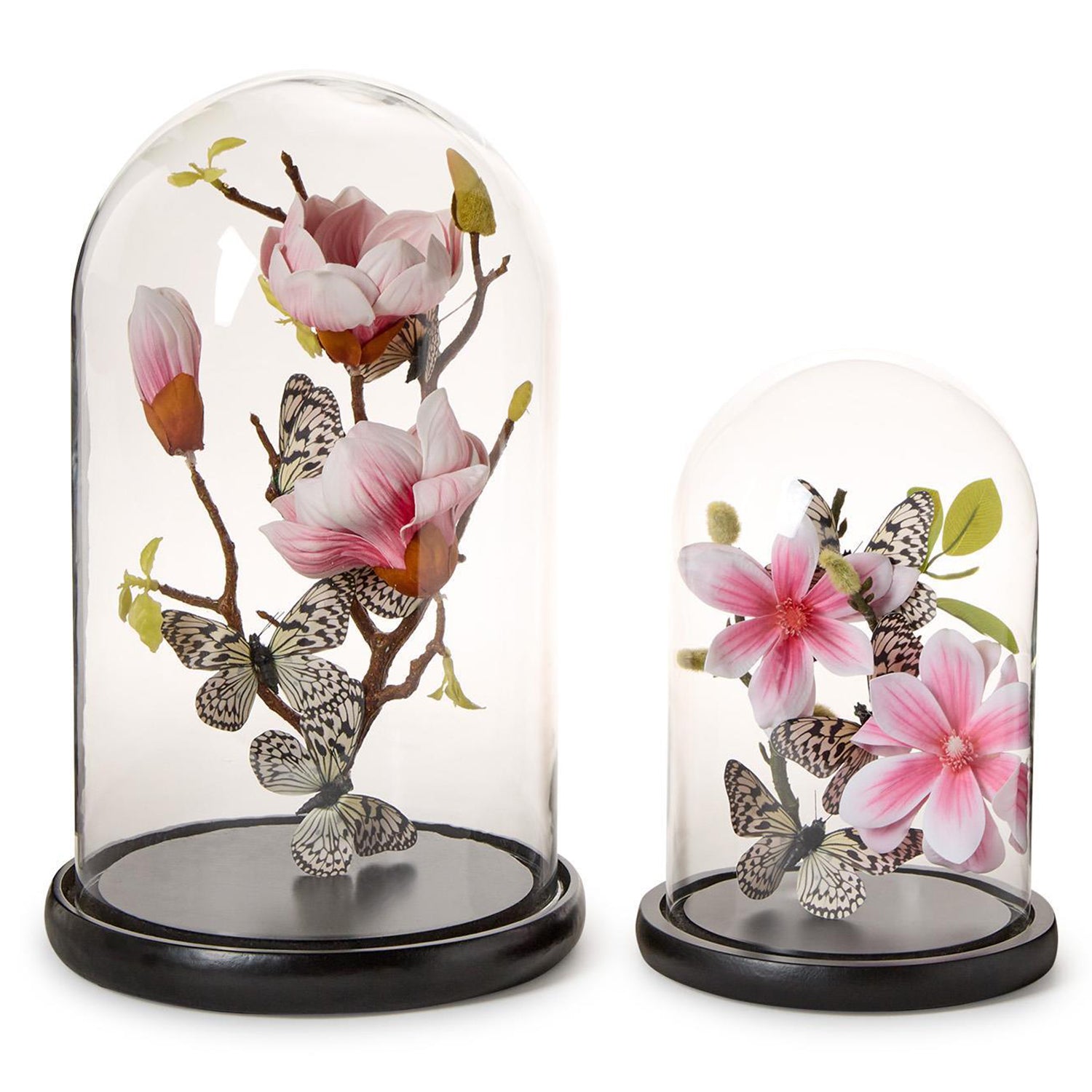 Flora and Fauna Butterflies in Round Dome Set of 2