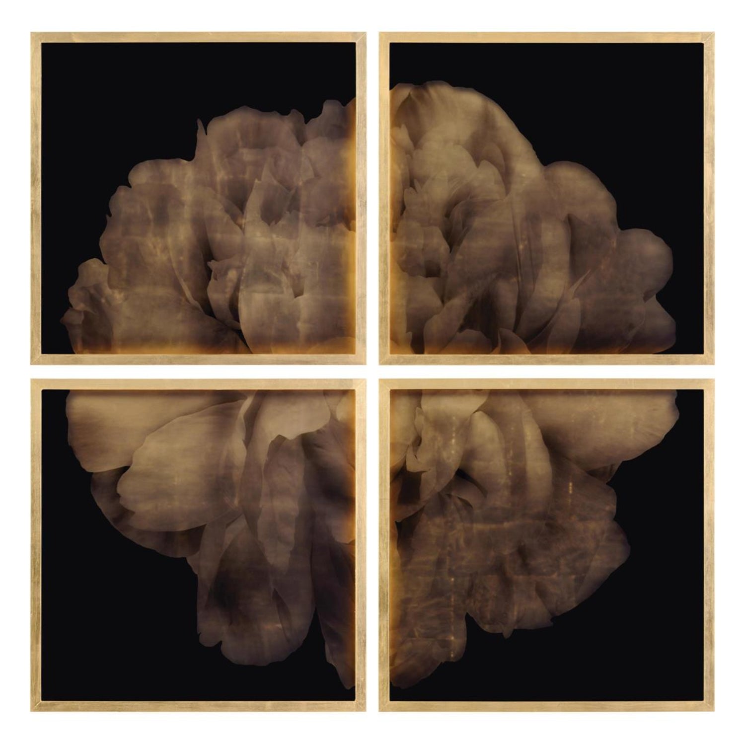 John Richard Mark Mcdowell's Shi Hana Framed Art Set of 4