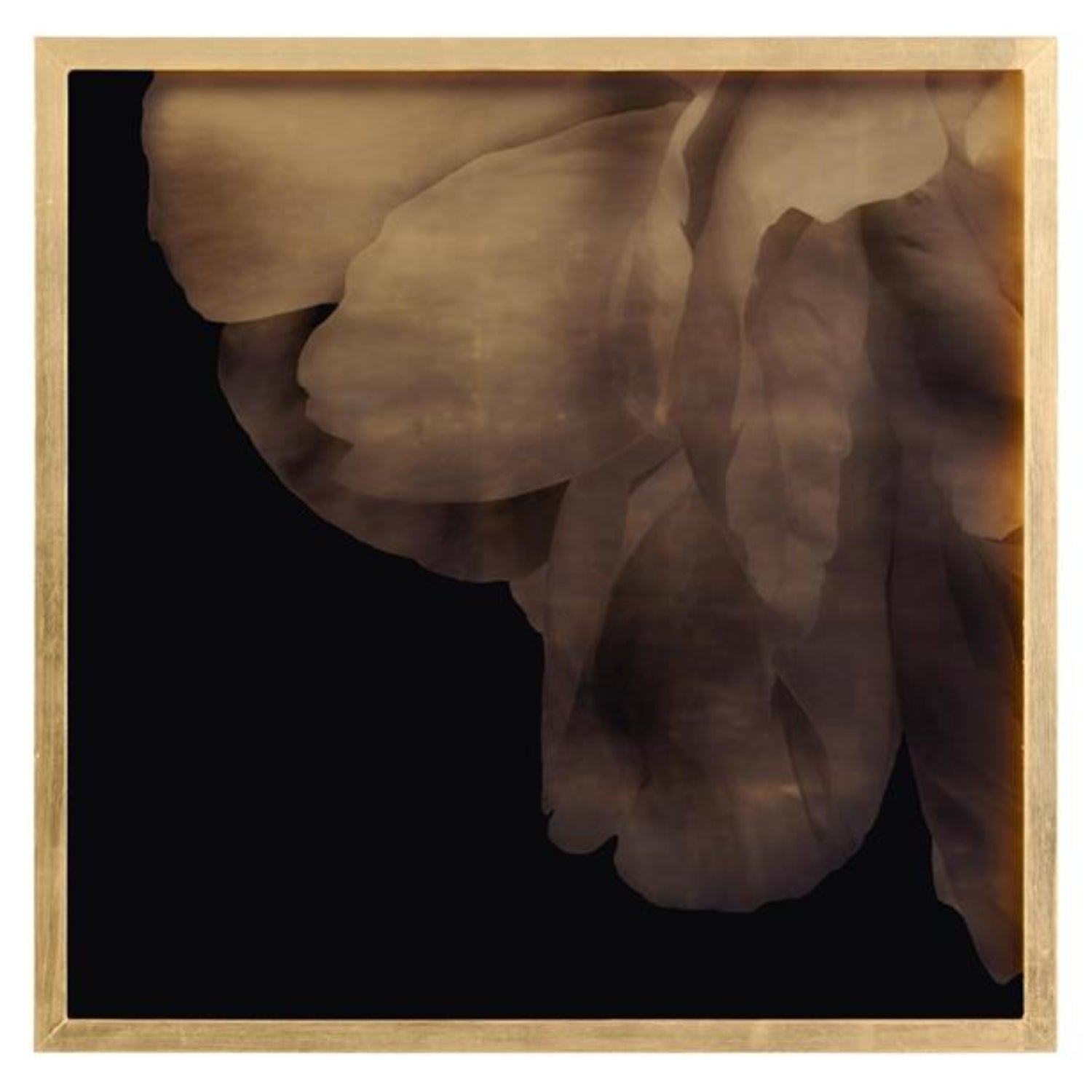 John Richard Mark Mcdowell's Shi Hana Framed Art Set of 4
