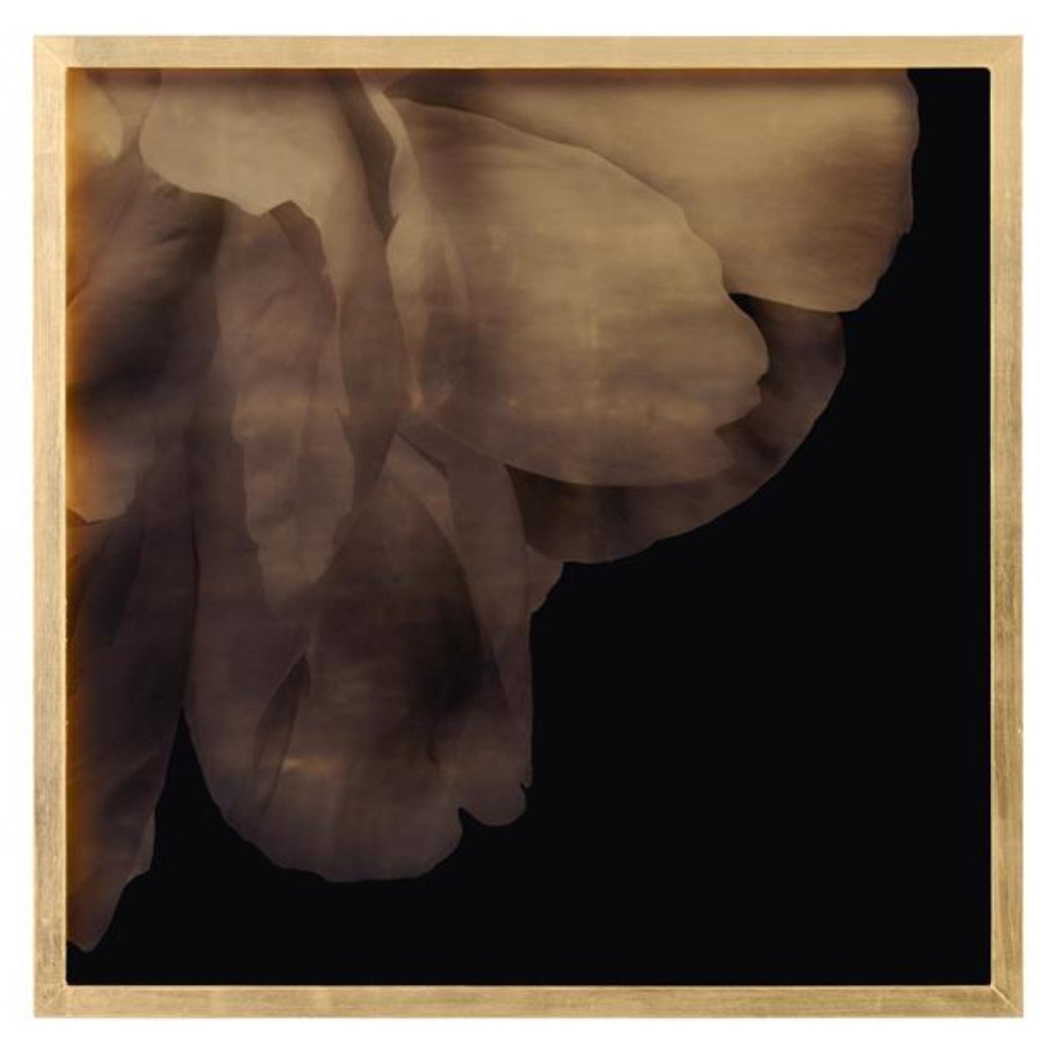 John Richard Mark Mcdowell's Shi Hana Framed Art Set of 4