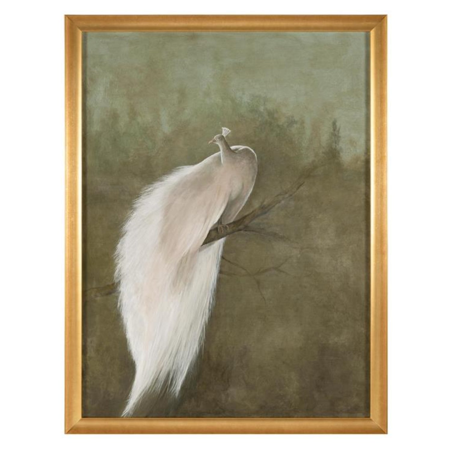 John Richard Debra Ferrari's the White Peacock Framed Art