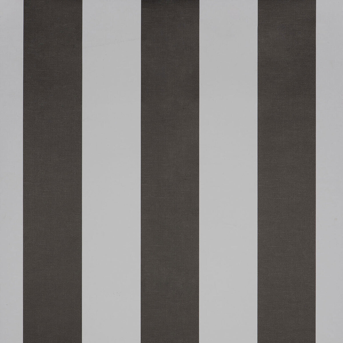 Gaston Y Daniela Milan Antracita Wallpaper