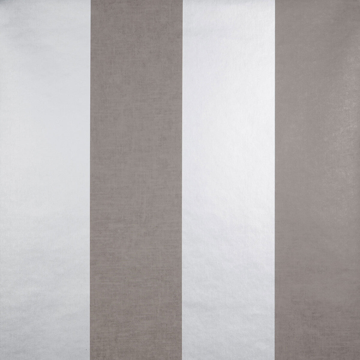 Gaston Y Daniela Florencia Topo Wallpaper