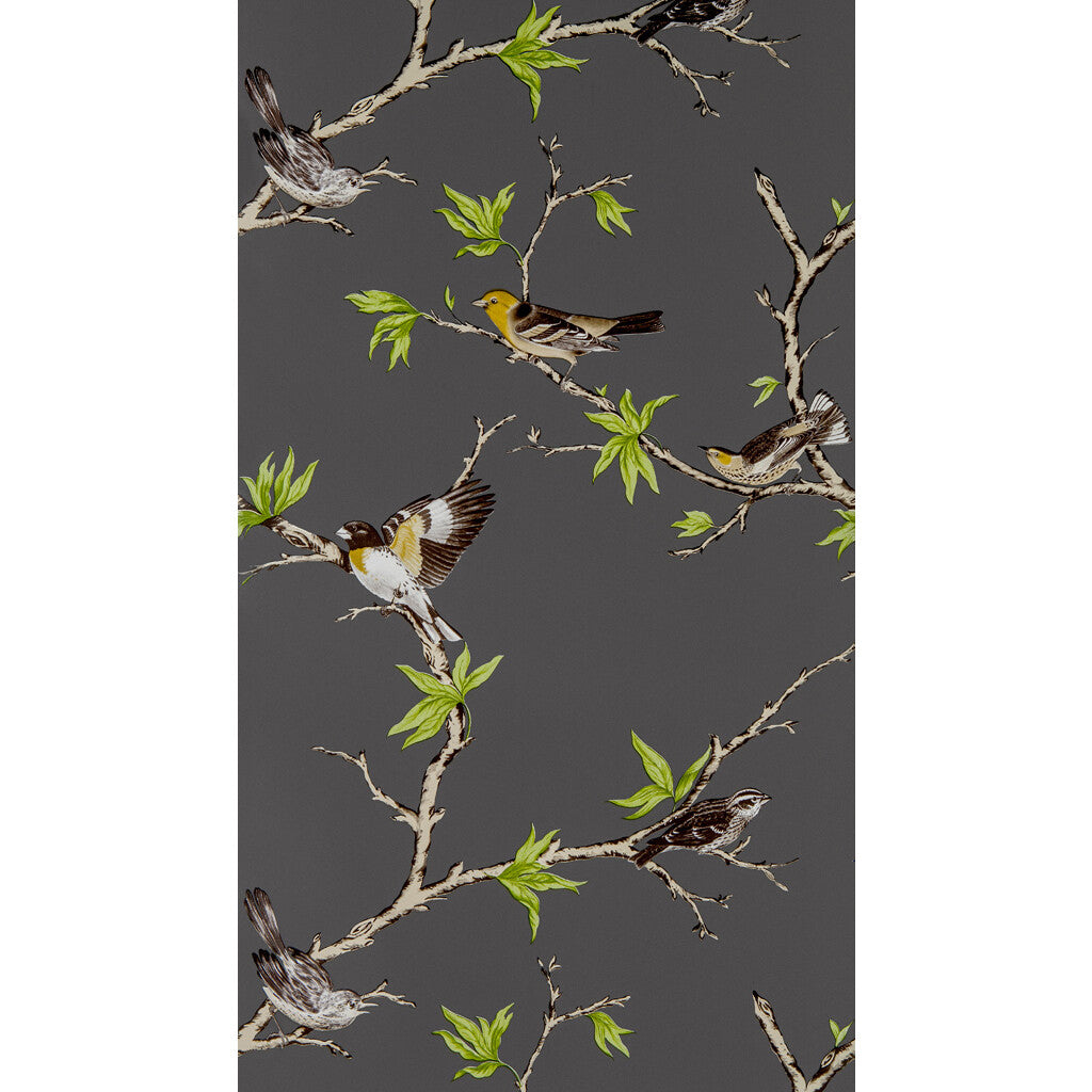 Gaston Y Daniela Villa Fiori Antracita Wallpaper