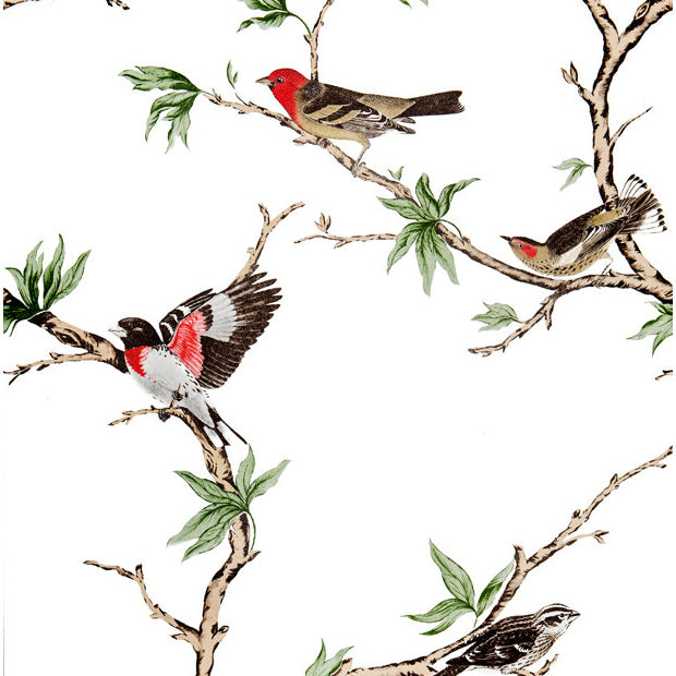 Gaston Y Daniela Villa Fiori Blanco/Negro Wallpaper