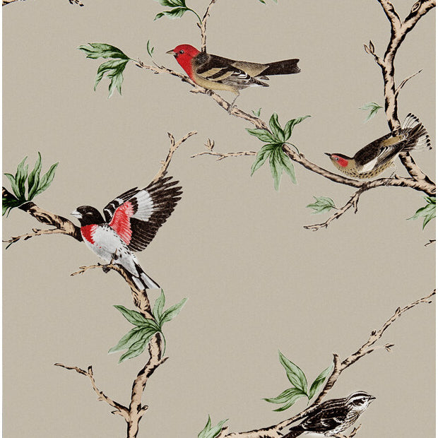 Gaston Y Daniela Villa Fiori Tostado/Negro Wallpaper