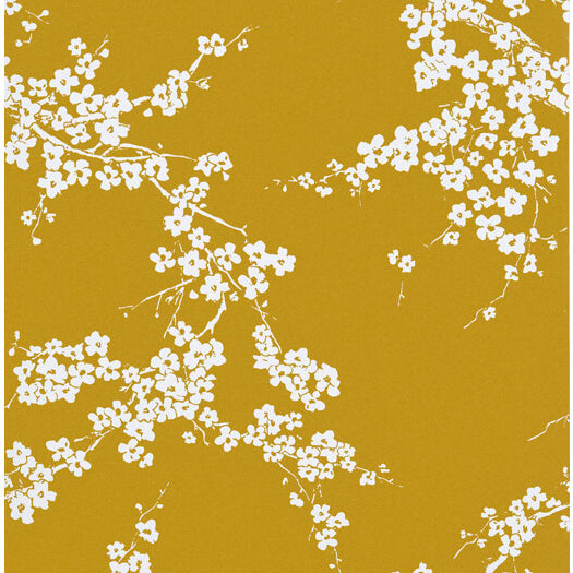 Gaston Y Daniela Primavera Mostaza Wallpaper