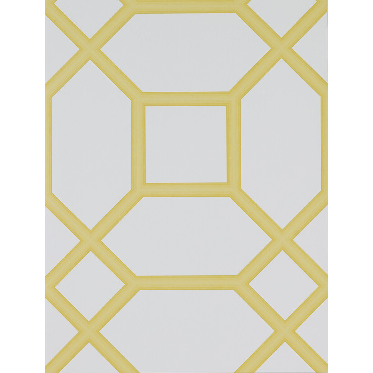 Gaston Y Daniela Miguel Amarillo Wallpaper