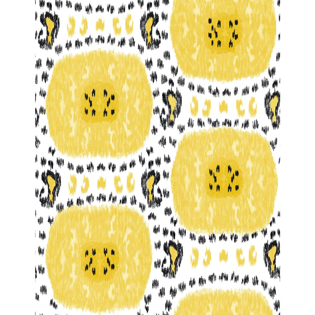 Gaston Y Daniela Gran Sol Amarill0 Wallpaper