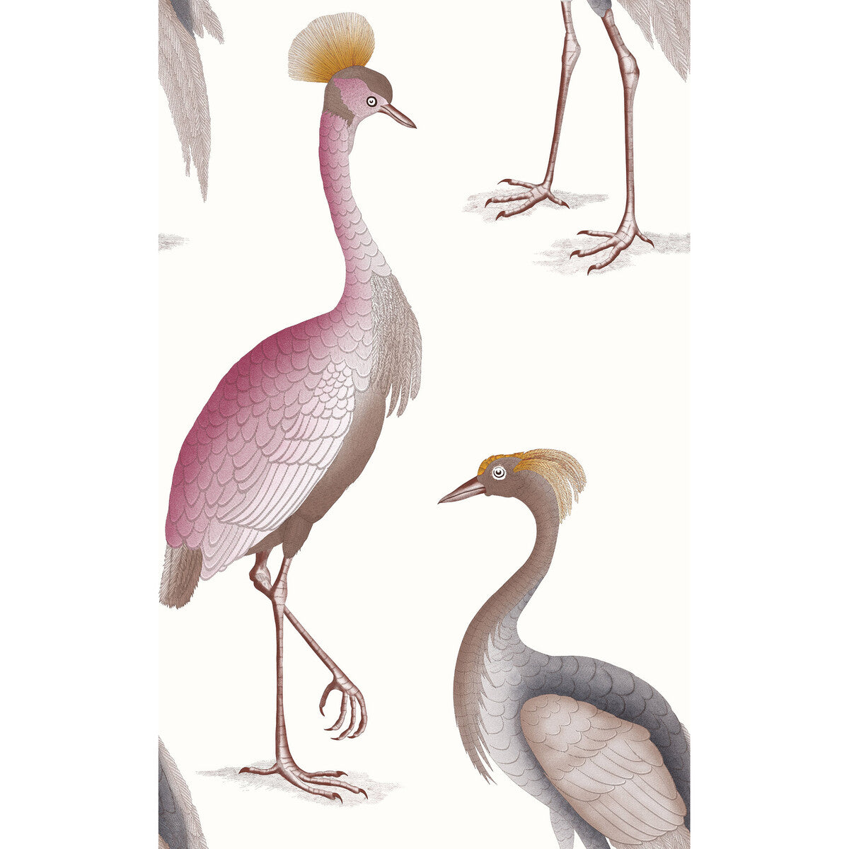 Gaston Y Daniela Garzas Blanco Wallpaper