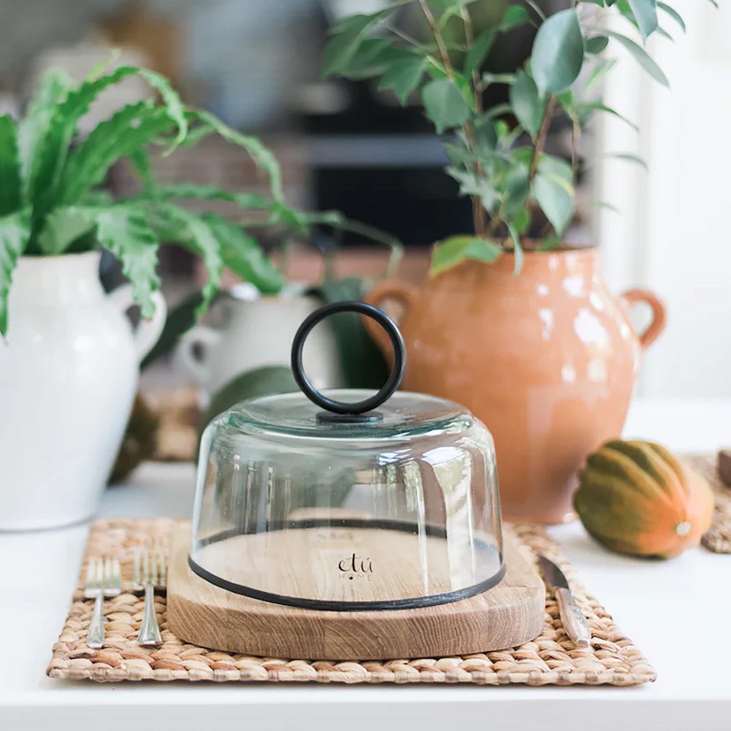 Etu Home Barcelona Glass Dome - Final Sale