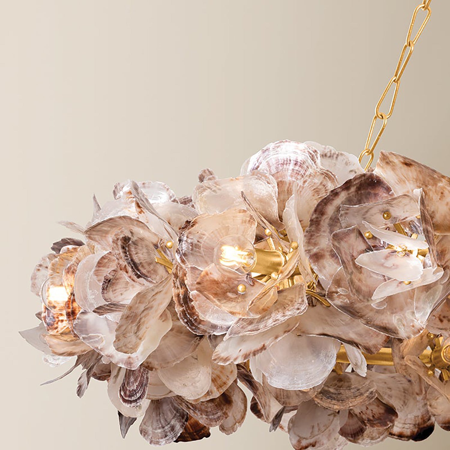 Corbett Lighting Galle Chandelier