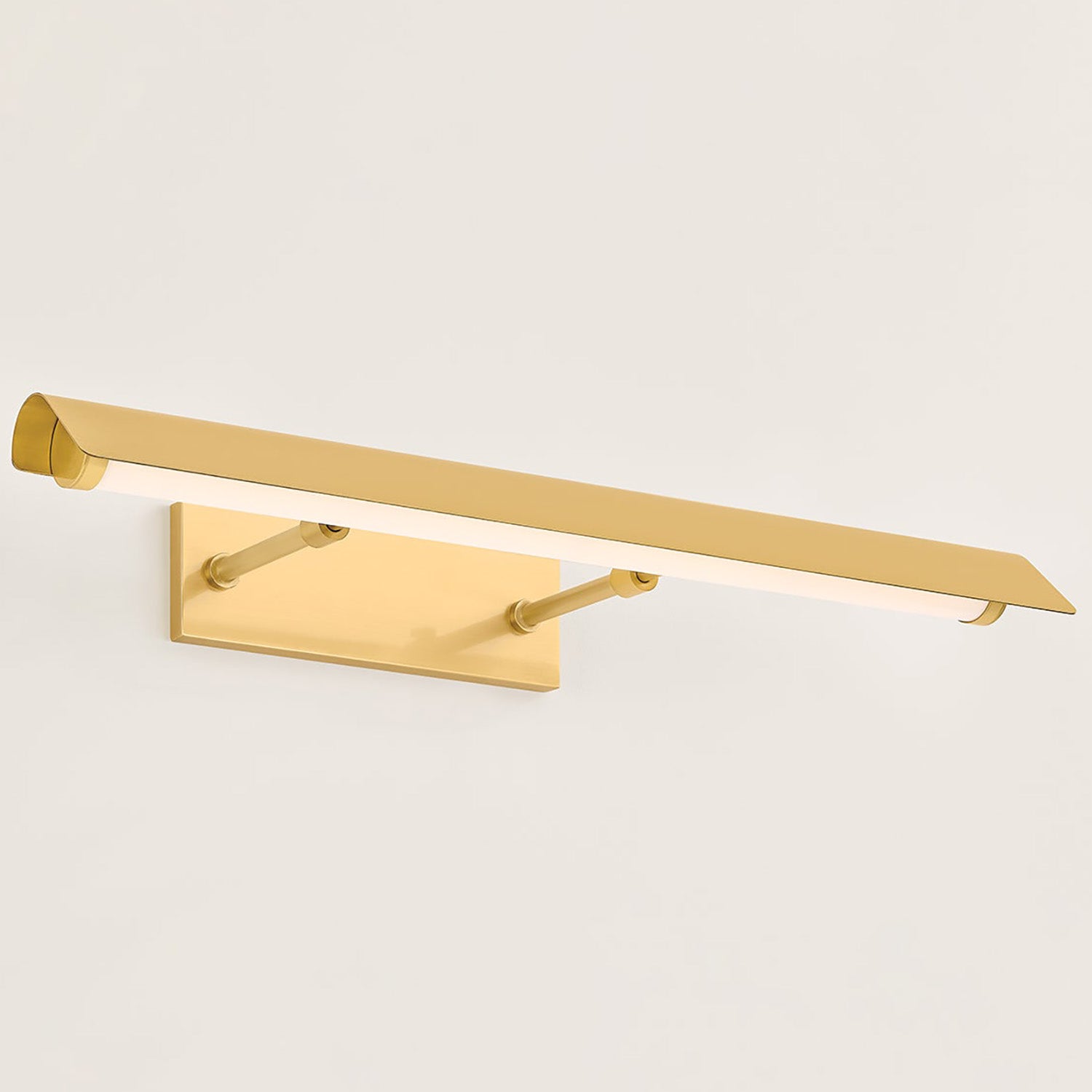 Mitzi Regan Picture Light