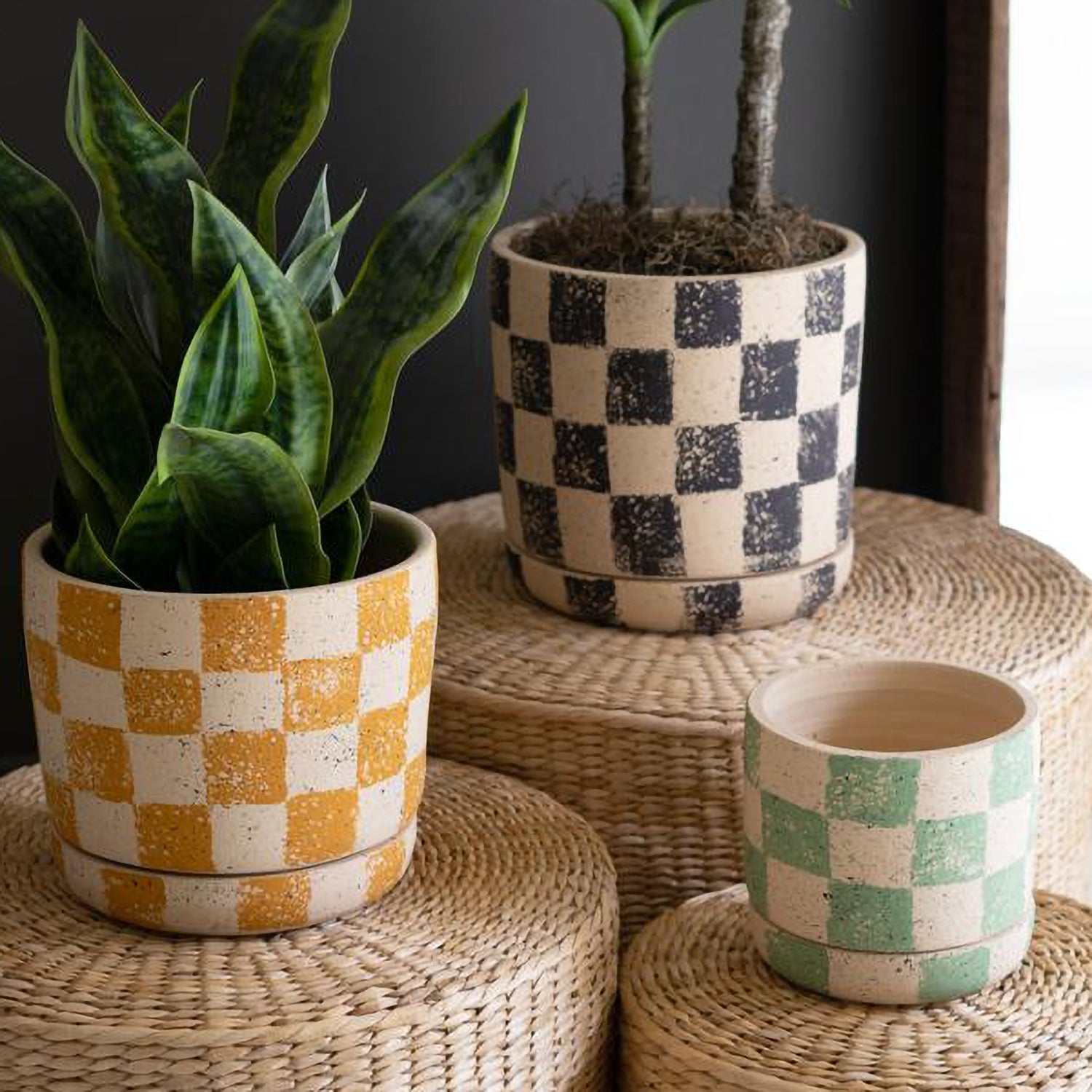 Checkered Planter Set of 3