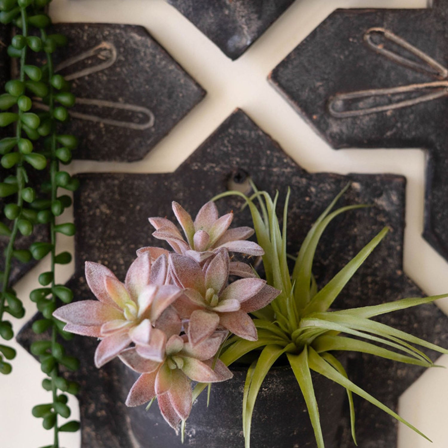 Black-Wash Clay Wall Planter Set of 4