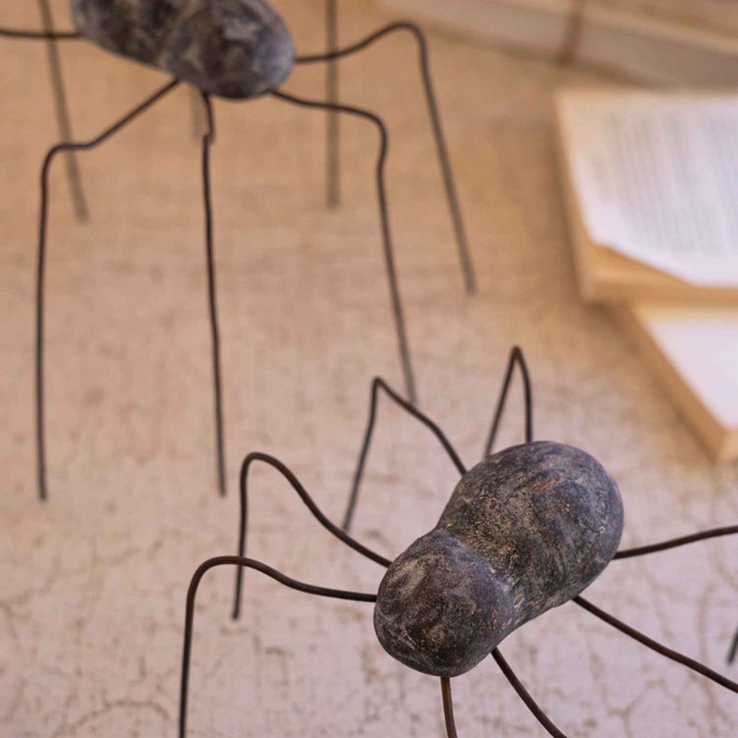 Spider Set of 2
