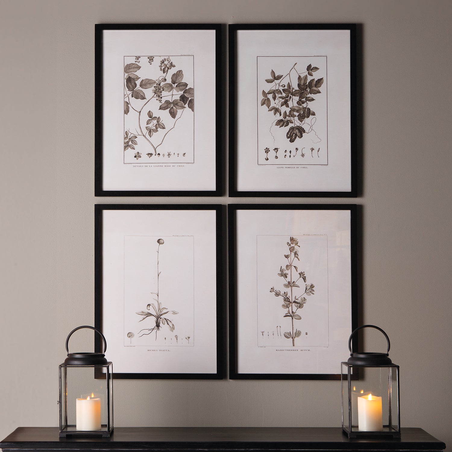 Fern Sepia-Tone Framed Wall Art Set of 4