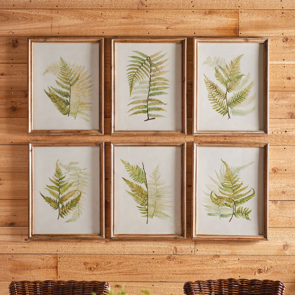 Fern Study Framed Wall Art Set of 6