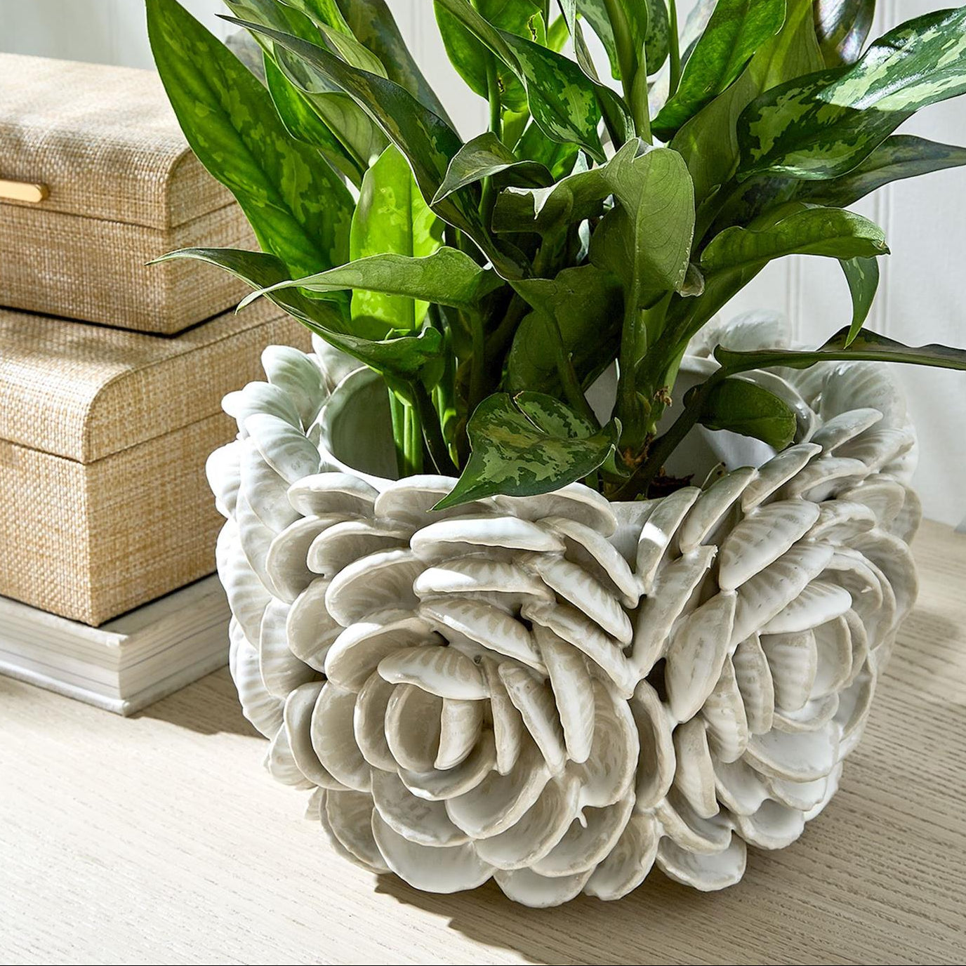 Clam Shell 10in Planter
