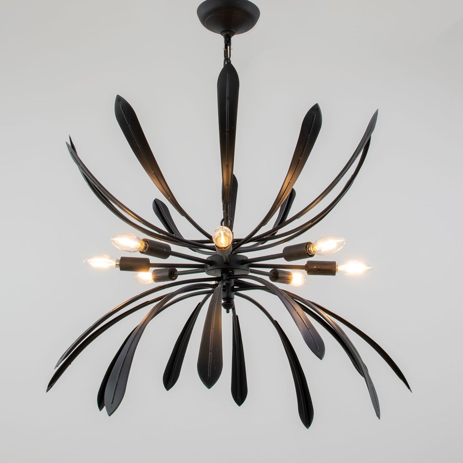 Sophia Chandelier