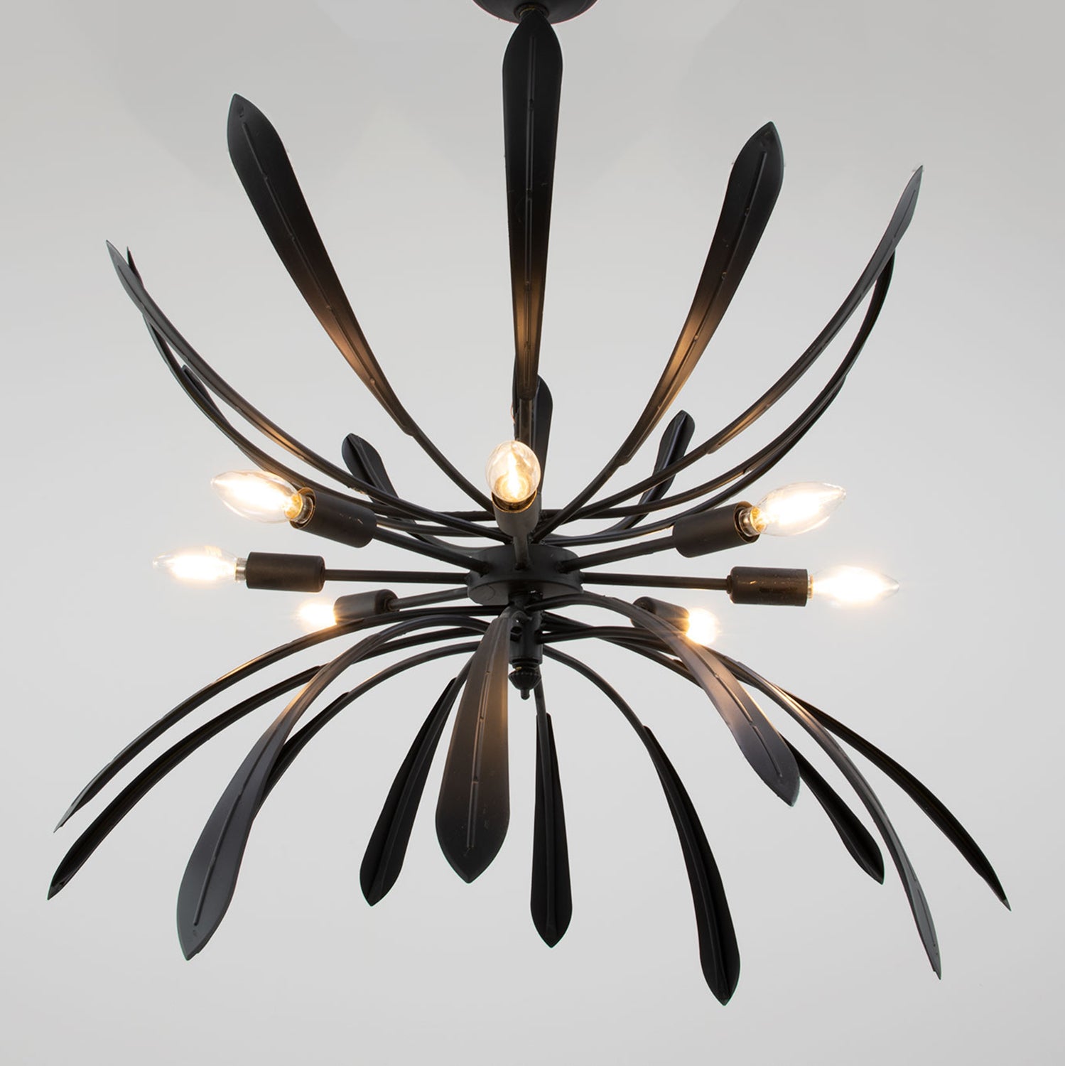 Sophia Chandelier