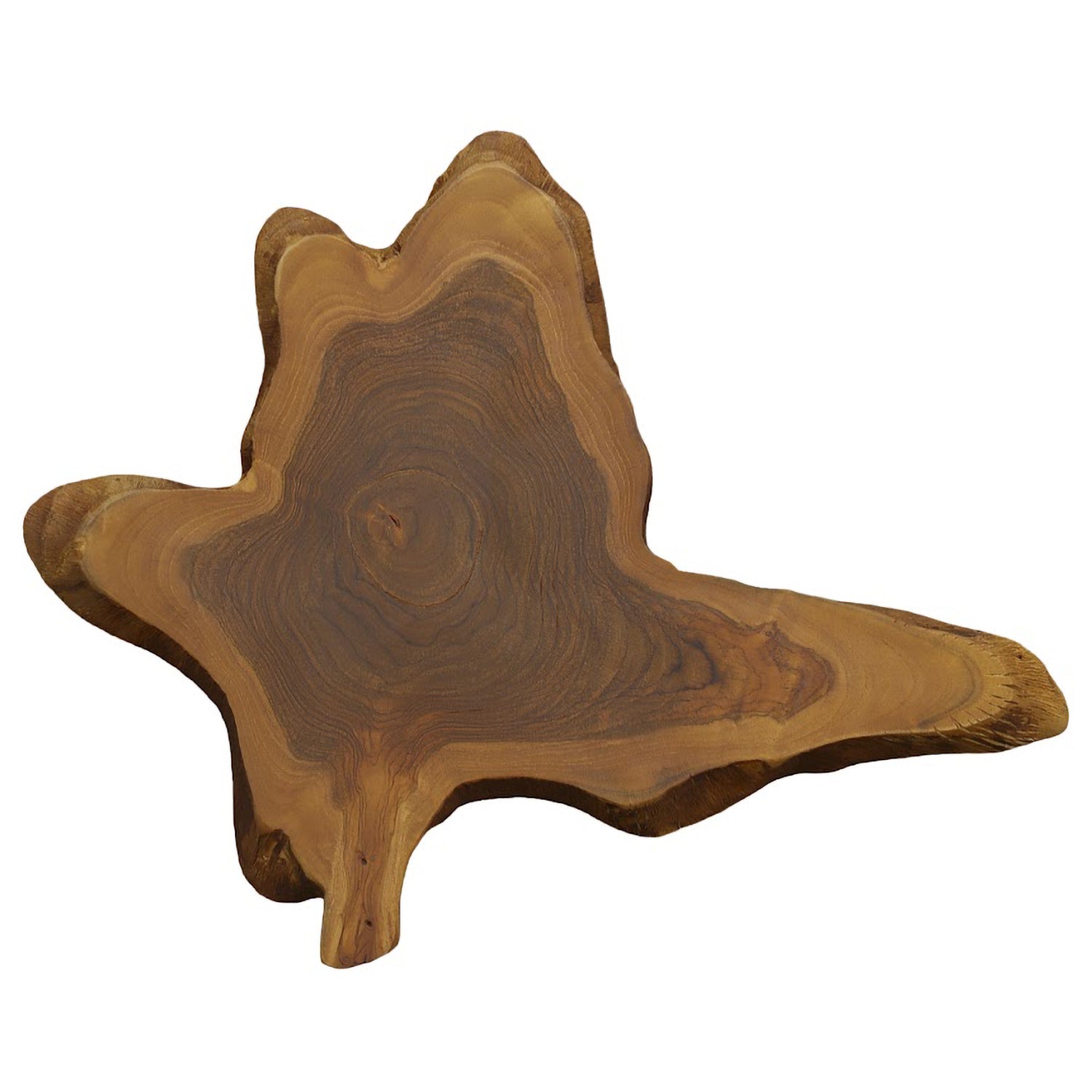 Phillips Collection Freeform Teak Wall Slice