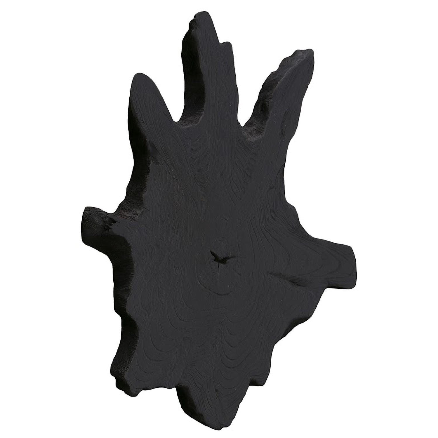 Phillips Collection Freeform Teak Wall Slice