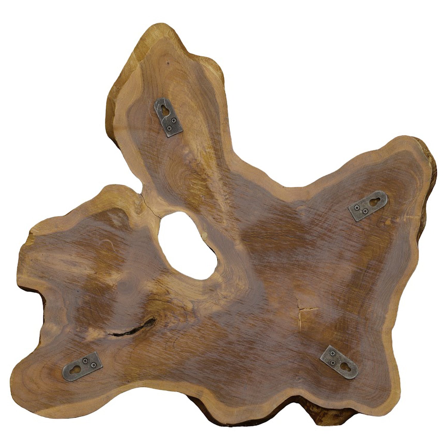 Phillips Collection Freeform Teak Wall Slice