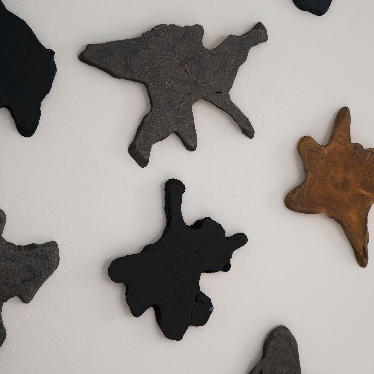 Phillips Collection Freeform Teak Wall Slice