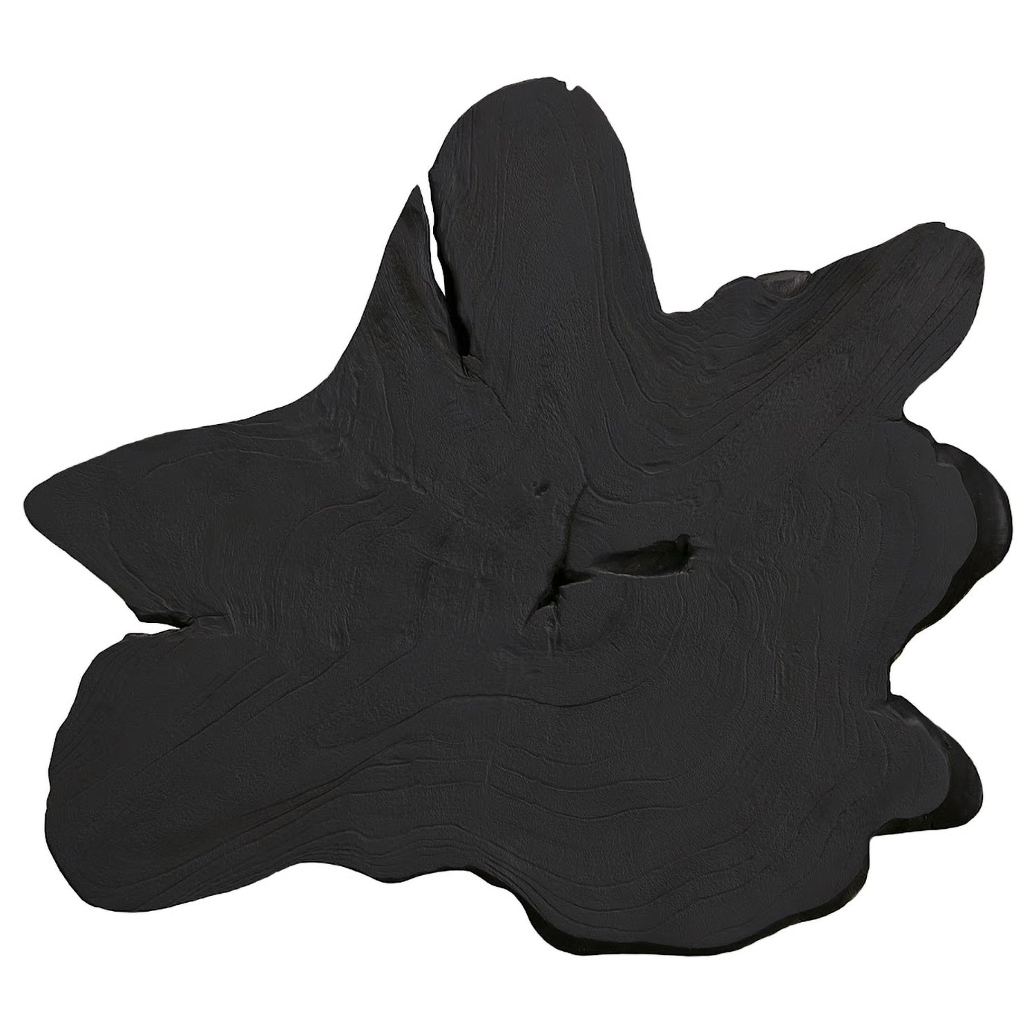 Phillips Collection Freeform Teak Wall Slice