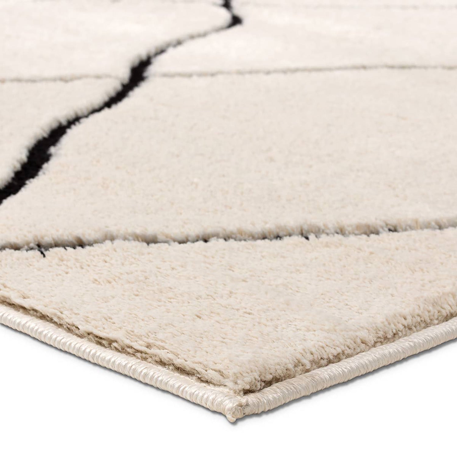 Label J by Jaipur Living Jaida Treble Power Loomed Rug
