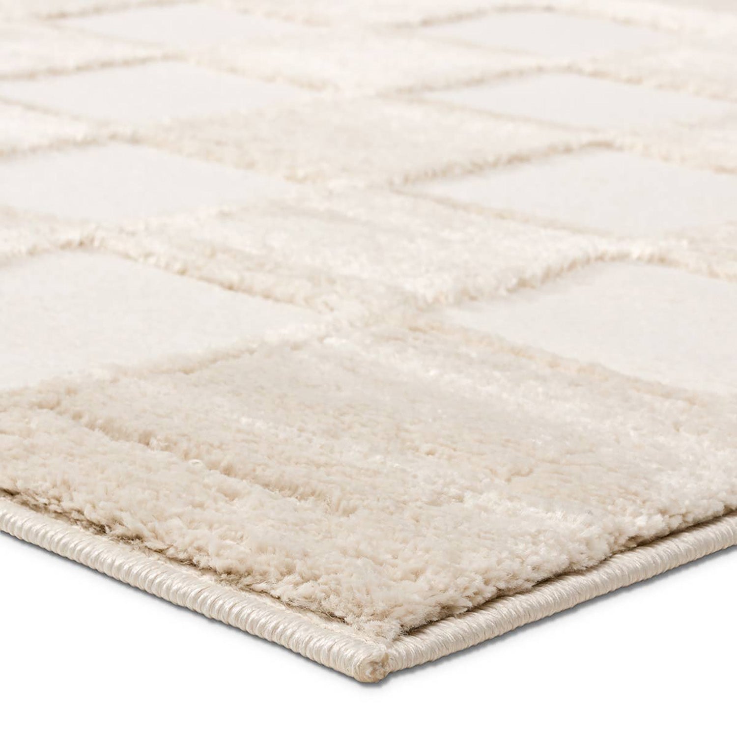 Label J by Jaipur Living Jaida Catanza Power Loomed Rug