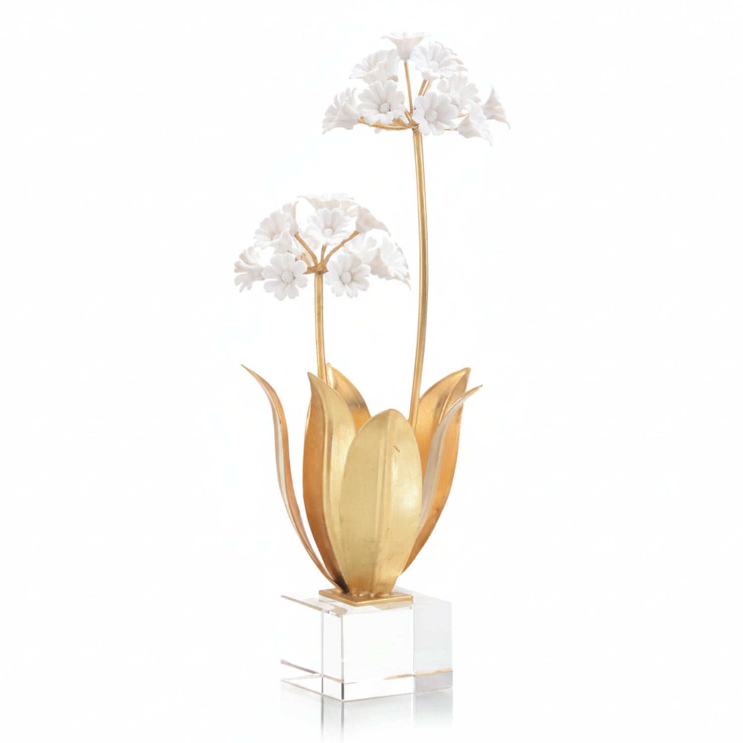 John Richard Allium Moly in Porcelain