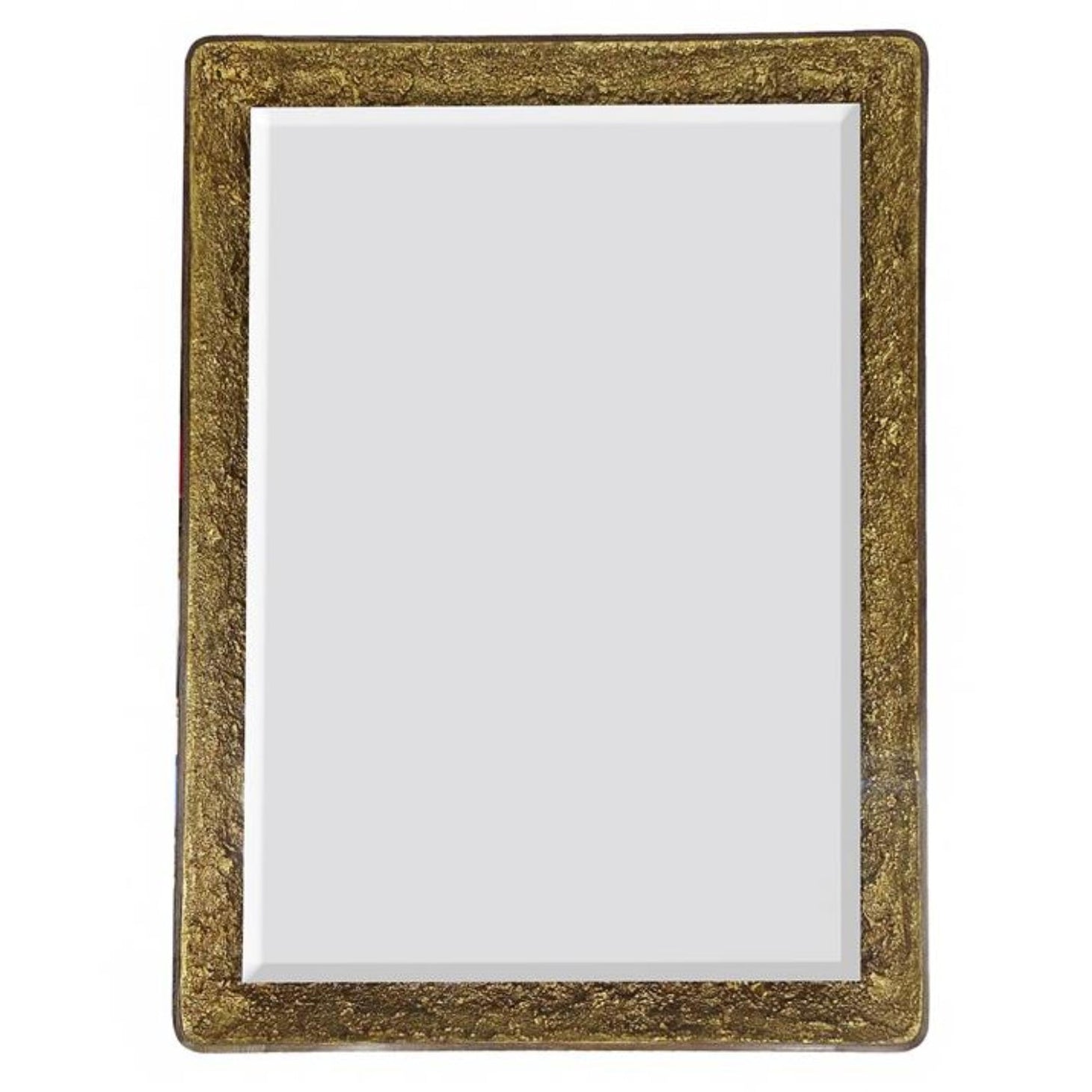 John Richard Gilded Oak Rectangular Lighted Mirror