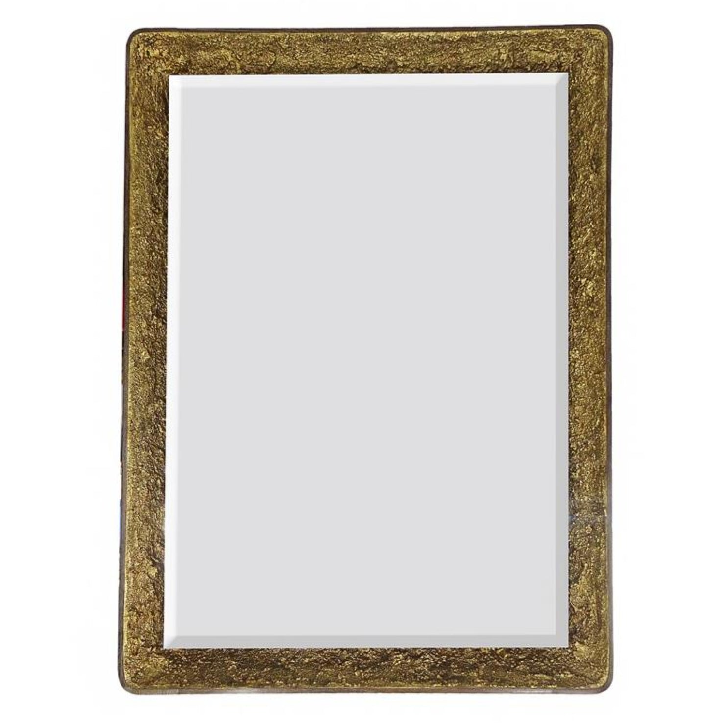 John Richard Gilded Oak Rectangular Lighted Mirror