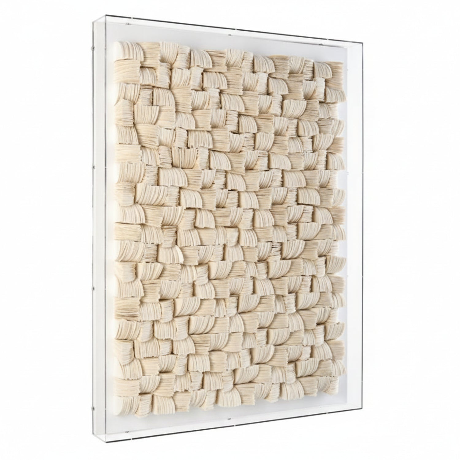 John Richard Tony Fey's Organic Elements Shadowbox