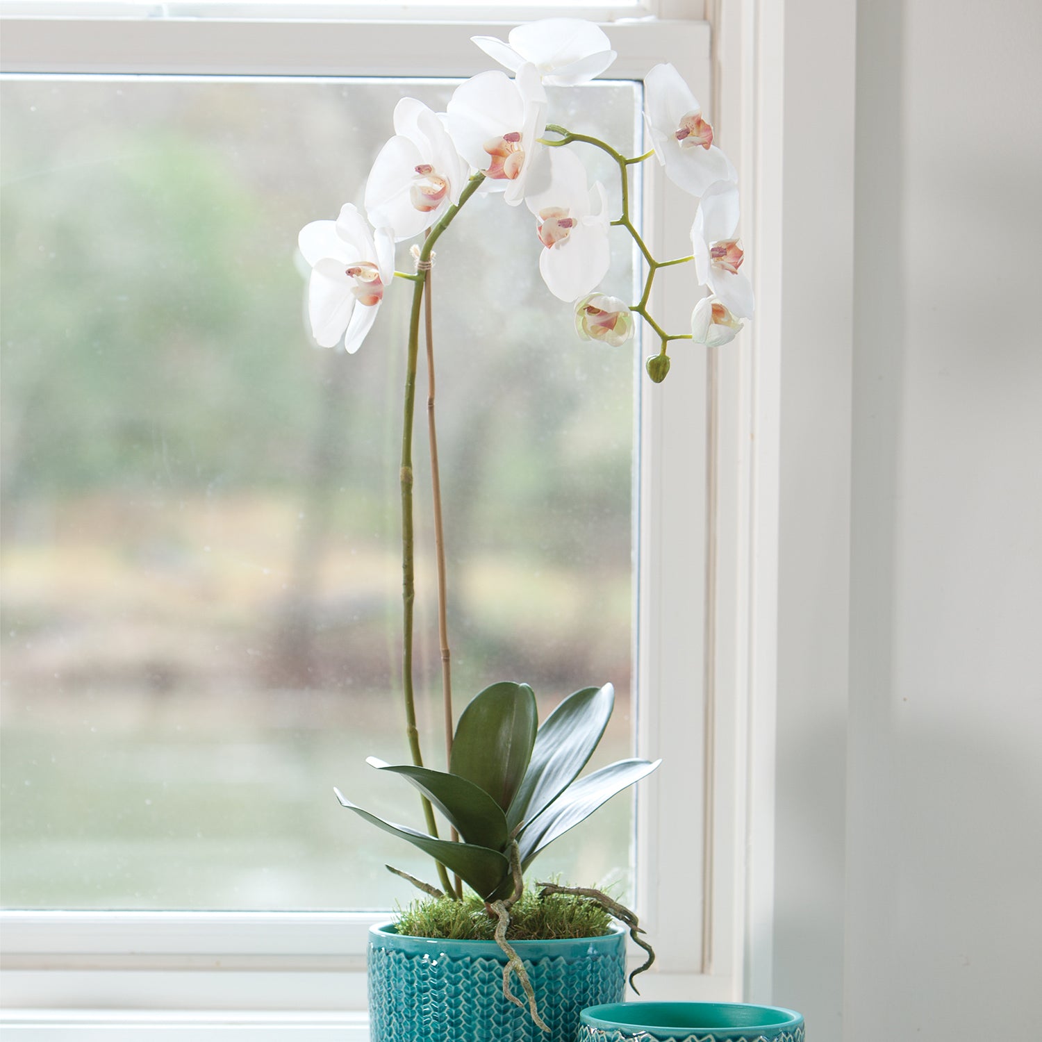 Phalaenopsis Orchid Drop-In Faux Plant