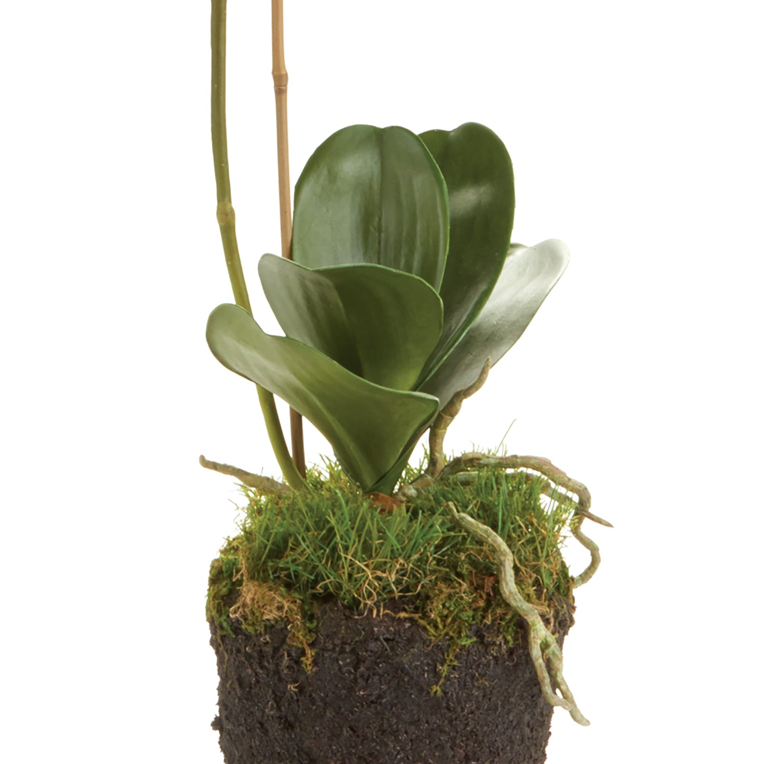 Phalaenopsis Orchid Drop-In Faux Plant