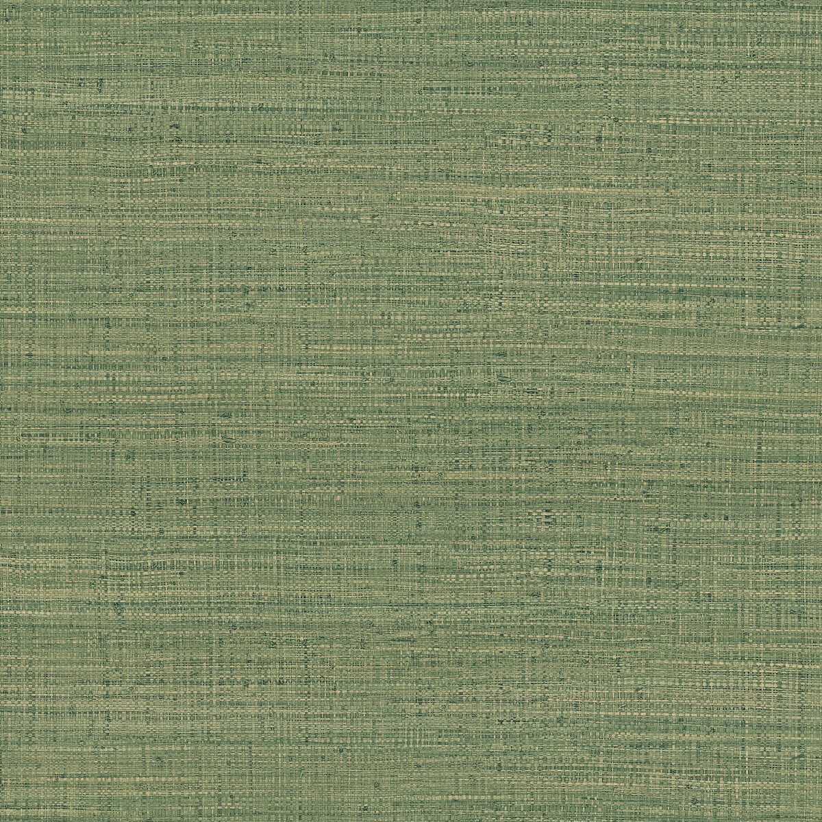 Gaston Y Daniela Ayllon Verde Wallpaper