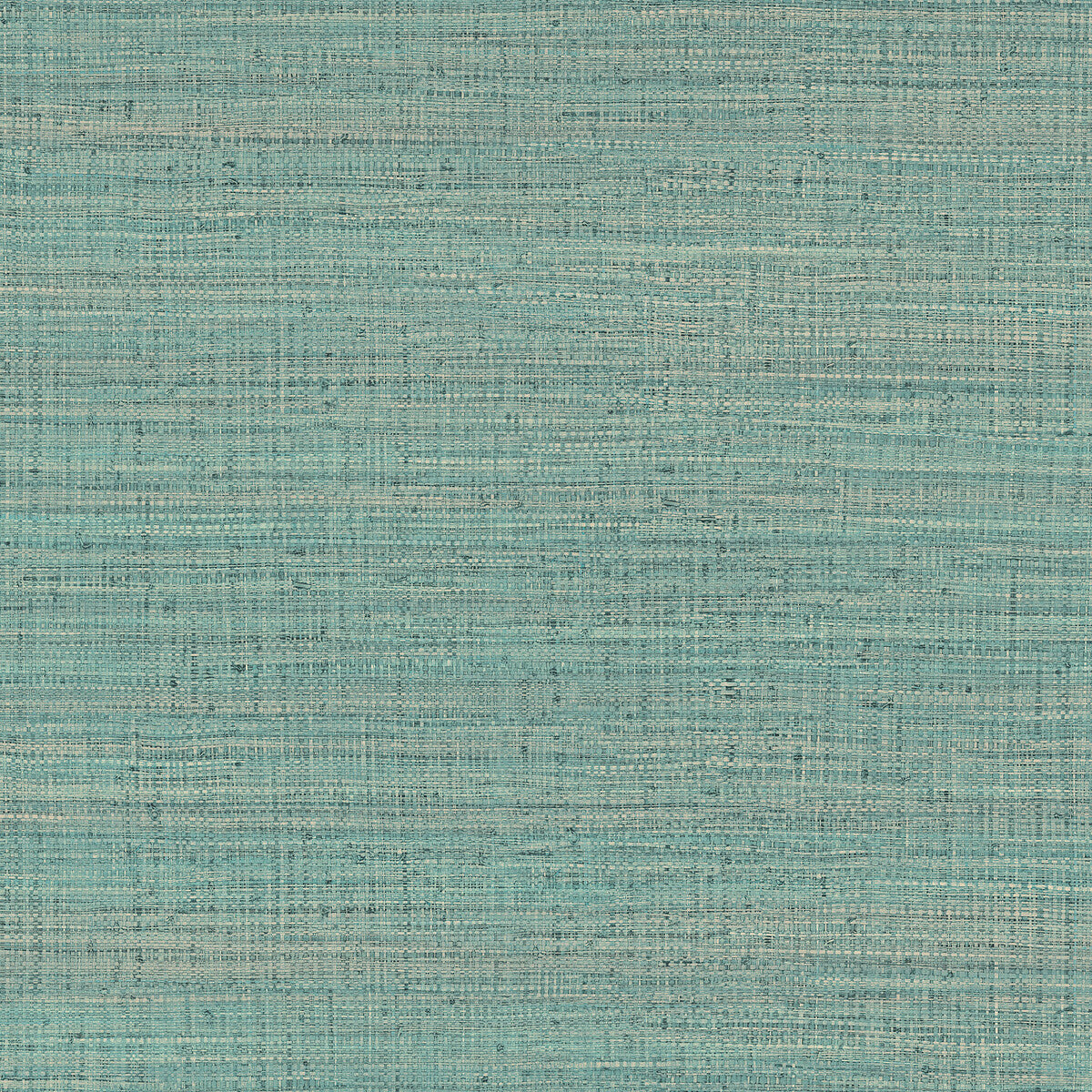 Gaston Y Daniela Ayllon Turquesa Wallpaper