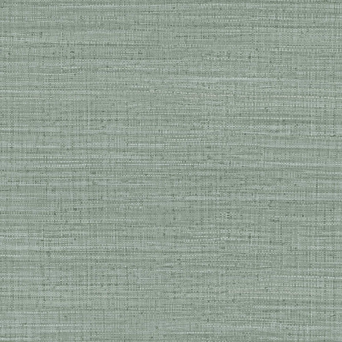 Gaston Y Daniela Ayllon Verde/Topo Wallpaper