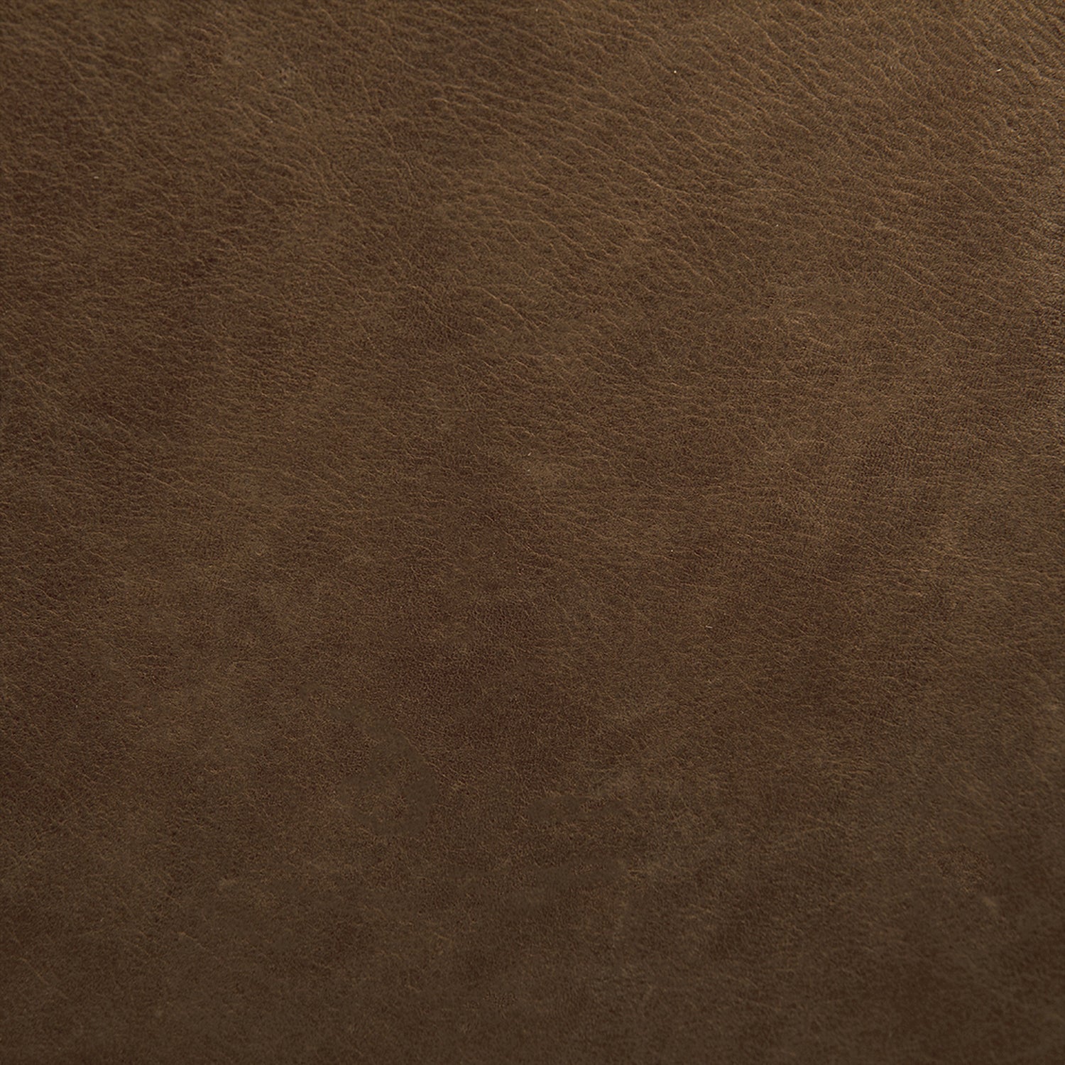 Noir Georgia Dining Chair