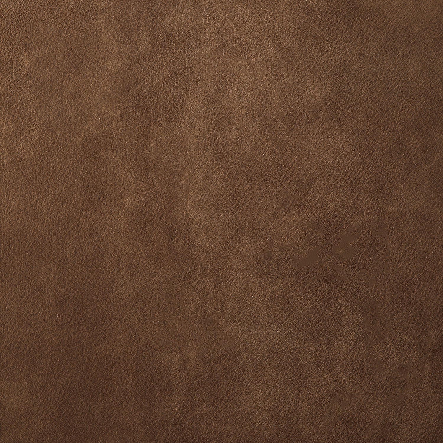 Noir Newton Dining Chair