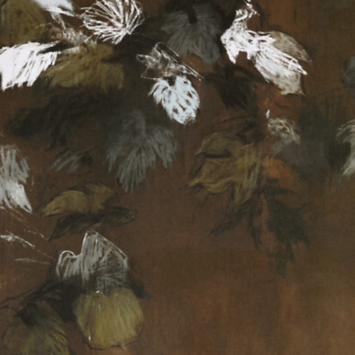 Kravet Design Foglie Di Vite 21593 Wallpaper