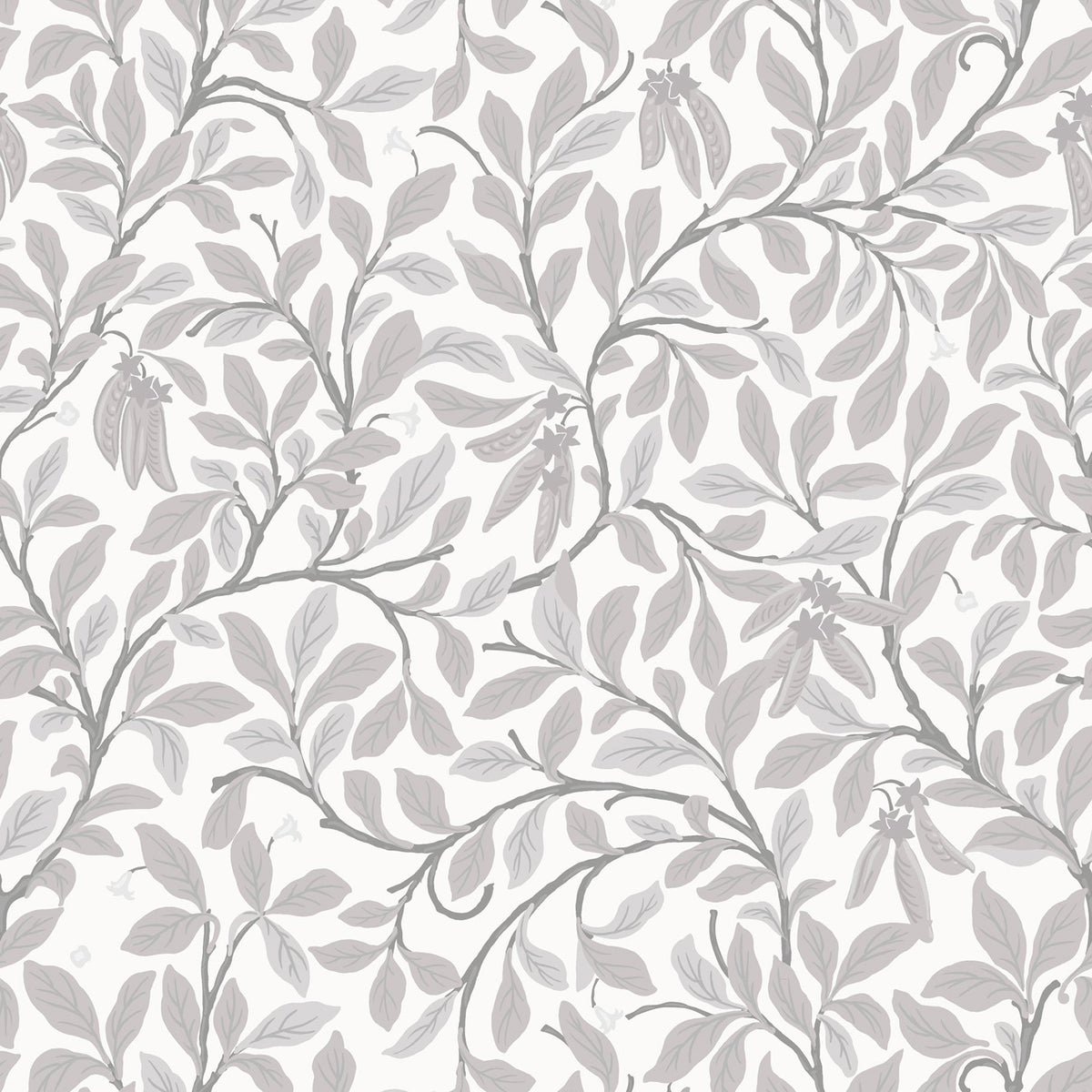 Mitchell Black Leaf and Pod Wallpaper