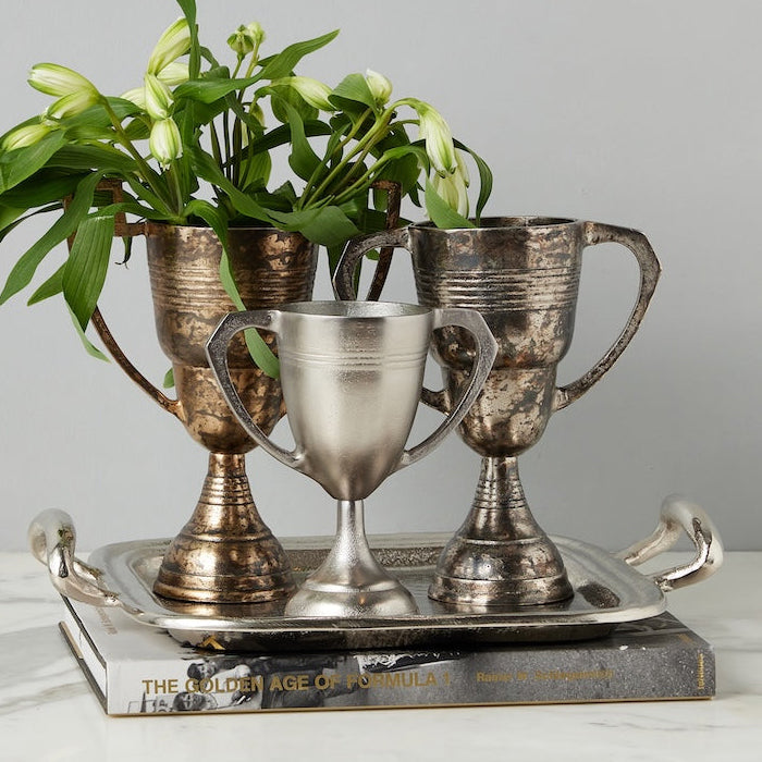 Etu Home Vintage Trophy Cup