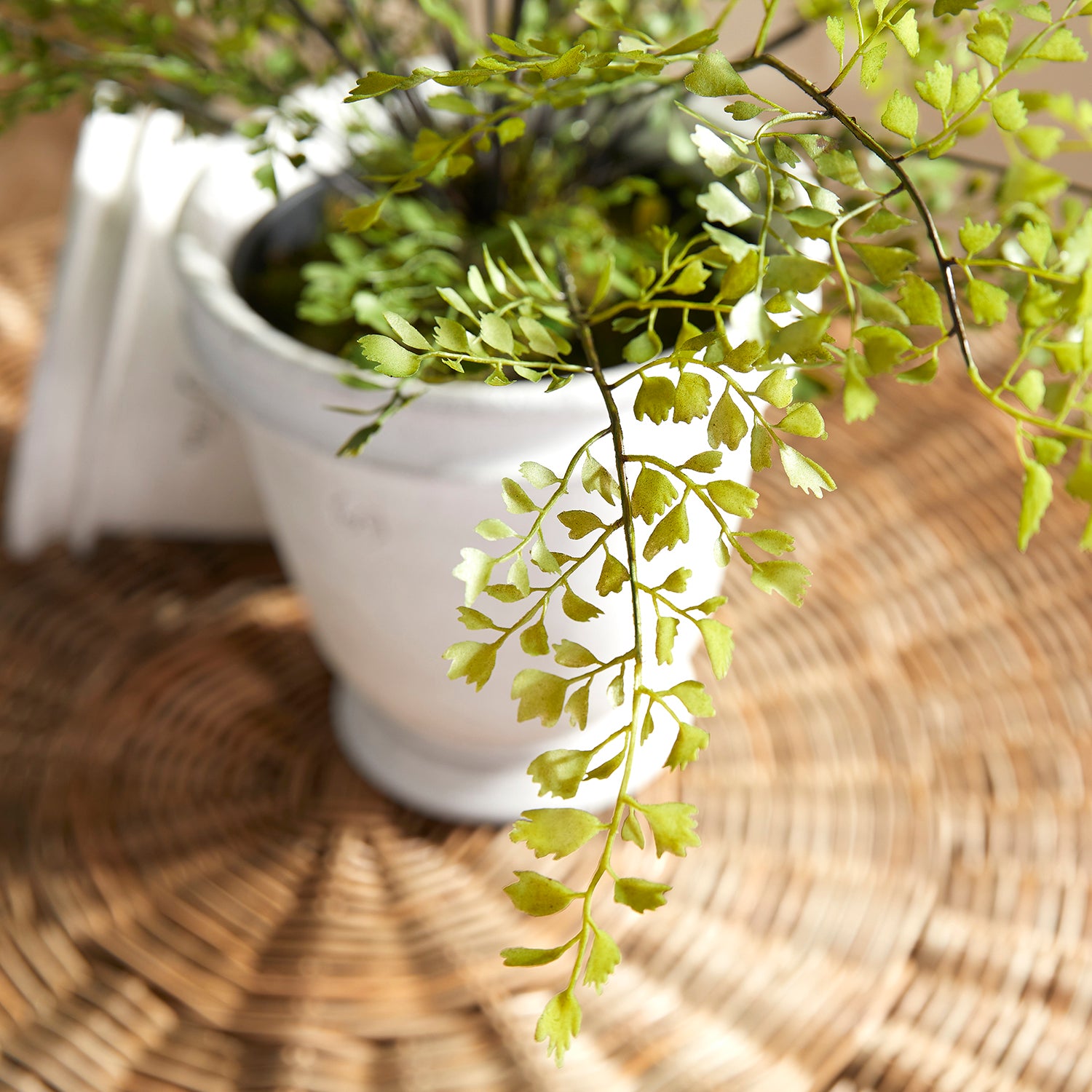 Maidenhair Drop-In Faux Plant