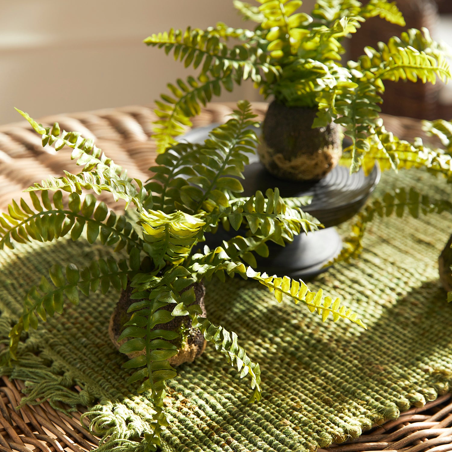 Boston Fern Drop-In Faux Plant Set of 3