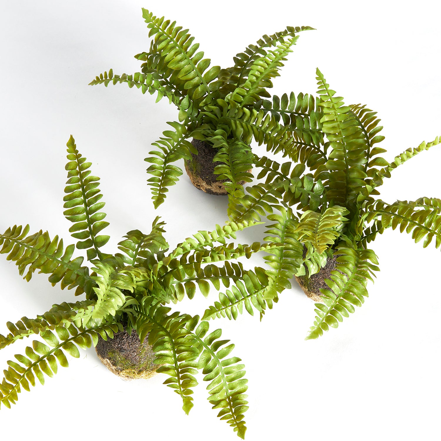 Boston Fern Drop-In Faux Plant Set of 3