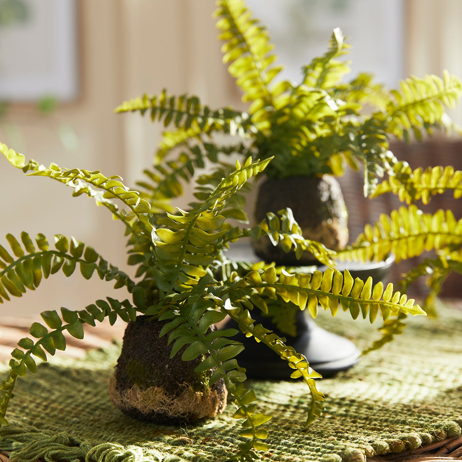 Boston Fern Drop-In Faux Plant Set of 3